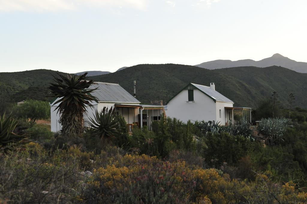 Matjiesvlei Guestfarm Villa Калицдорп Екстериор снимка